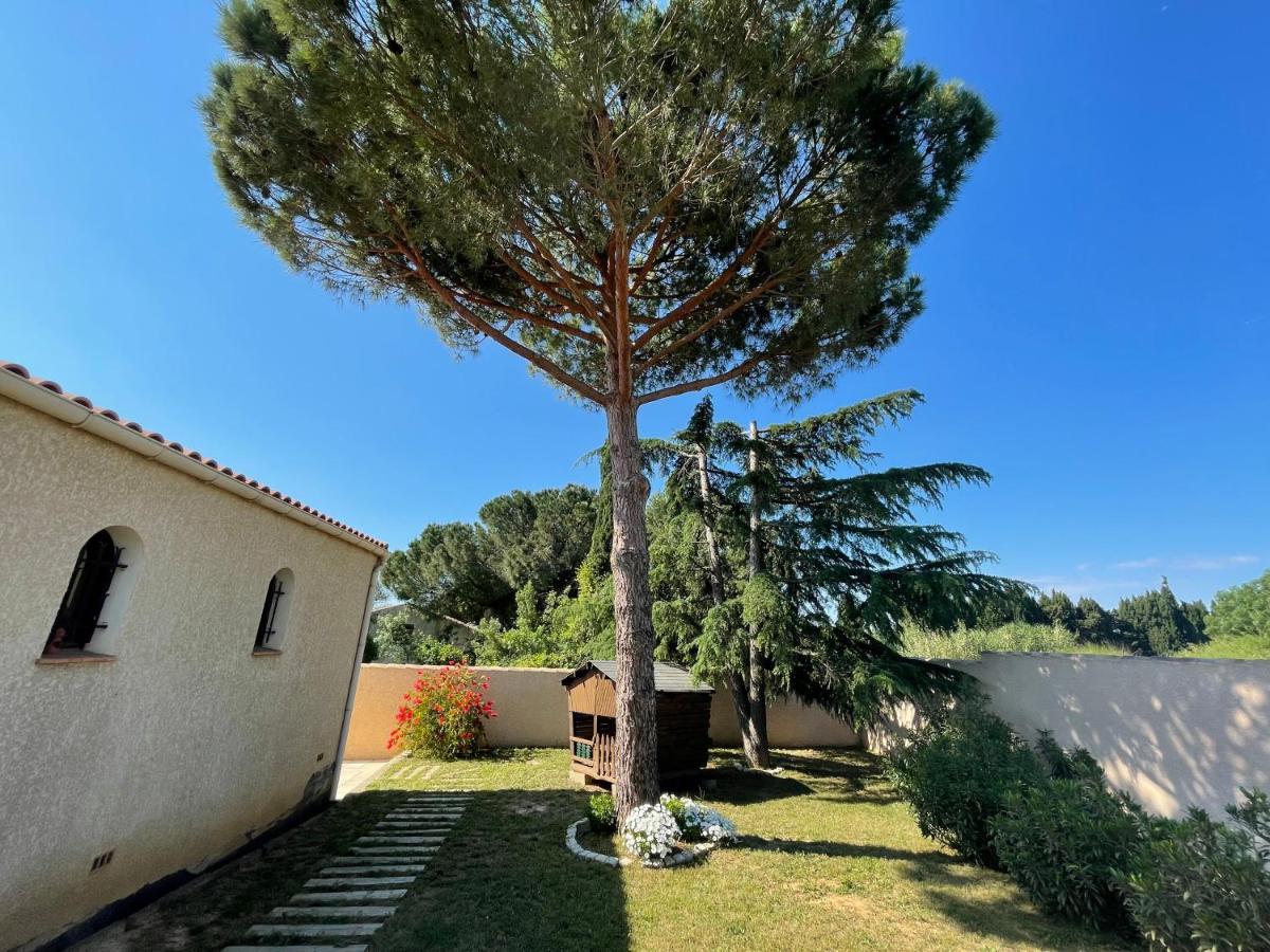 Annexe Des Pins - Studio Gite Avec Piscine & Climatisation Villeneuve-lès-Béziers Εξωτερικό φωτογραφία